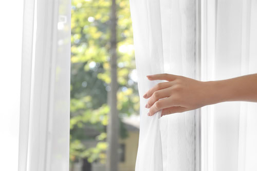 Can Termites Get Into Your Bed?
