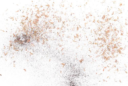 How Long Does It Take For Termites To Fully Destroy Furniture?