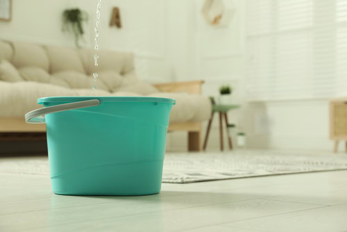 7 DIY Ways To Remove Termites In Your Home