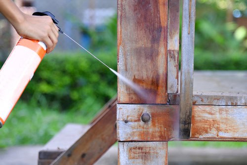 Termite Feeding Habits: What Do They Eat and Why?
